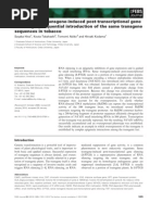 Download LOss of Sense Transgene Induced Post-transcriptiona Gene Silencing by Sequntial Introduction of the Same Transgene Sequnce in Tobacco by Karla Sousa SN57959145 doc pdf