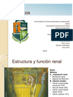 Diuréticos: Clasificación y Mecanismos de Acción