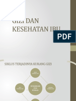 Materi 5 Gizi Dan Kesehatan Ibu Pmba