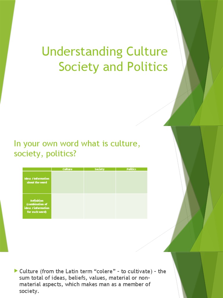 Understanding Culture Society and Politics | PDF | Society | Value (Ethics)
