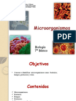 Biologia Microorganismos 7b