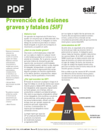 Prevención de Eventos pSIF en Seguridad | PDF | Enfermedades y ...