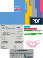 en) Aftas en Estomatología Sal-her, Jc