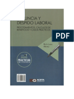 17.1 Renuncia y Despido Laboral