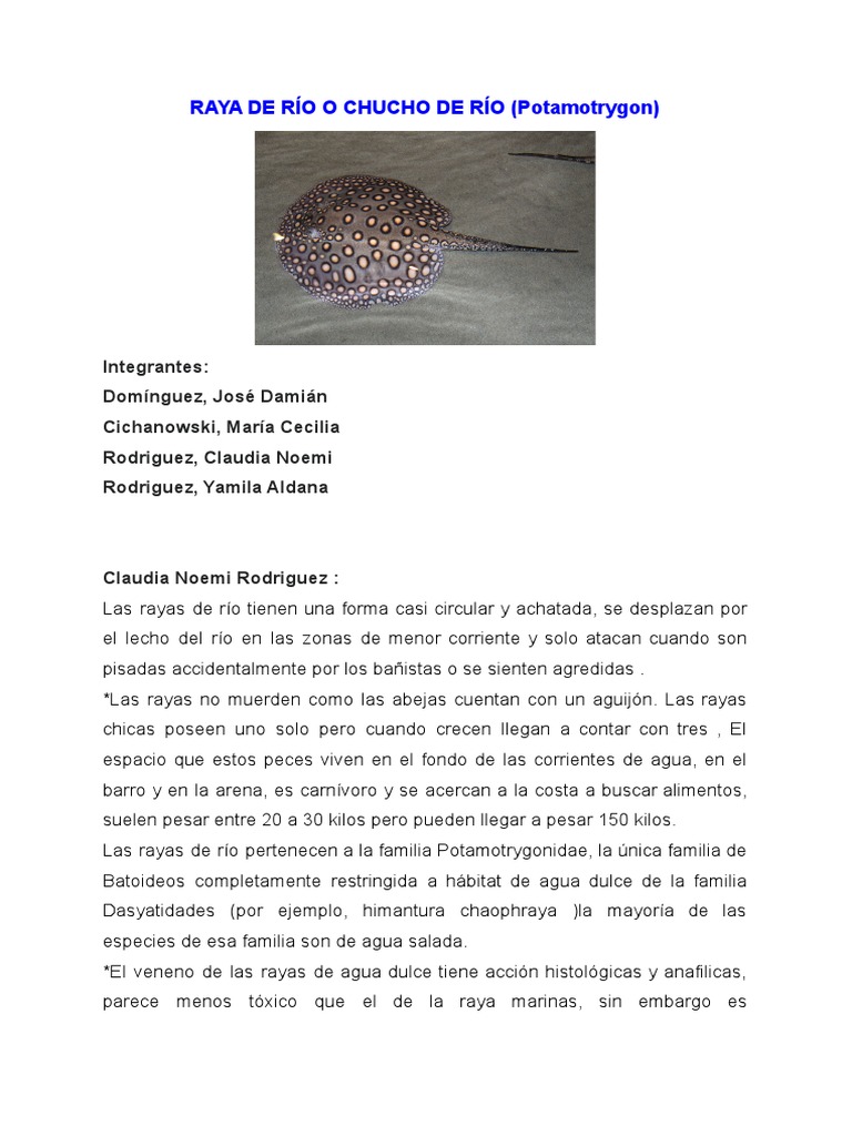 RAYA DE RÍO O CHUCHO DE RÍO (Potamotrygon) | PDF | Acuario | Agua