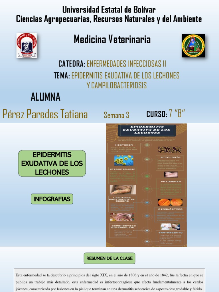 Mastitis Bovina: Causas y Diagnóstico | PDF | Penicilina | Antibióticos, image size:768x1024