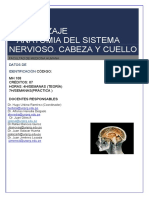 Guia de Aprendizaje Anatomia Sistema Nervioso. Cabeza y Cuello