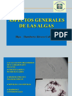 Aspectos Generales de Las Algas 2020