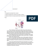 Tugas IDK Fetal Circulation Kuliah Online Nisrina