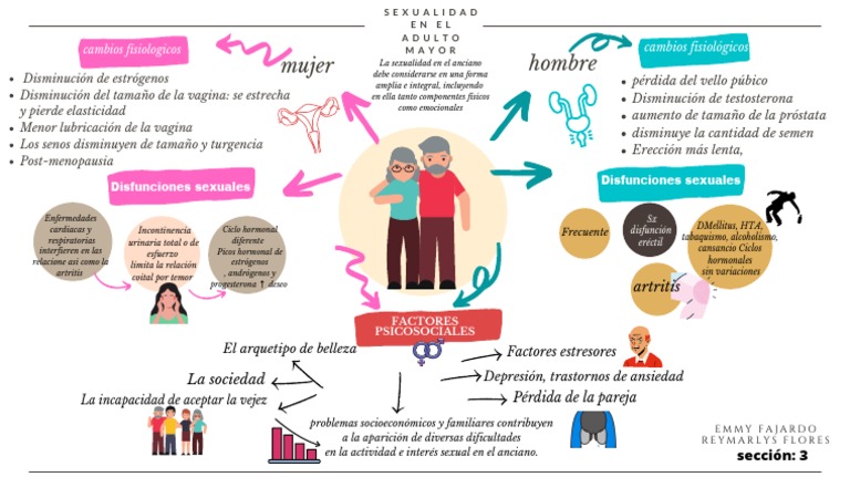 Sexualidad en El Adulto Mayor | PDF | Vejez | Disfunción sexual
