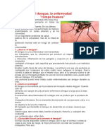 COMPRENSIÓ DE LECTURA: El Dengue