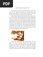 Download Proses Fermentasi Pada Wine by Rizal Muttaqien SN57961119 doc pdf