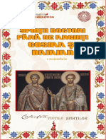 Dokument - Pub Sfinii Doctori Fara de Argini Cosma I Damian 1 Noiembrie Flipbook PDF