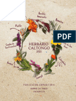 Herbario Caltongo