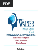 MÃ Dulo 3 - MODELO CONCEITUAL DA TERAPIA DO ESQUEMA