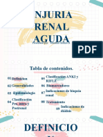 Injuria Renal Aguda (Valentina Molina)