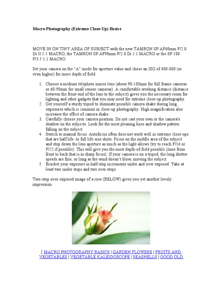 Macro Photography Tips Guide | PDF | Home & Garden