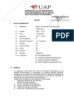 Silabo Bases Conceptuales Filosoficas de Enfermeria