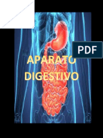 Sistema Digestivo