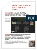 Informe de Biologia de La Ingeneria Cenetica y Biotecnologia