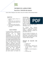 Informe de Laboratorio Tincion de Gram