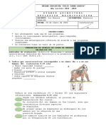 Tipan Pilataxi Arandy Jesus - Evaluación Quimestral Historia 1° Bgu