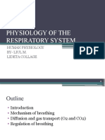 RESPIRATORY Physiology