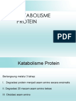 Metabolisme Protein Dan Sekunder LH