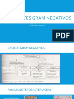 5 Bastonetes Gram Negativos