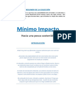 Mínimo Impacto-V10