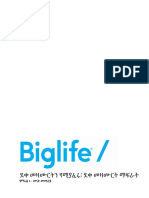 Biglife FULL Training Manual - AMHARIC ETHIOPIA - v2.0