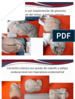 Anatomia Patologia Practica - Macro 1er Parcial