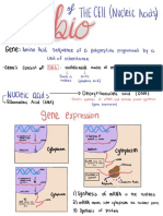 Bio Lec 3