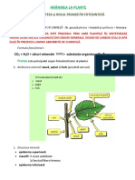 Plan de Lectie 1.fotosinteza - Rolul Ei