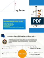 LPG Filling Scale