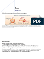 TP - Anticorps