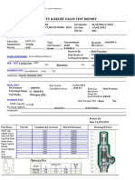 Safety & Relief Valve Test Report