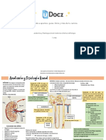 Anatomia y Fisiologia Renal Medicina Interna Nefrologia 73337 Downloable 489069