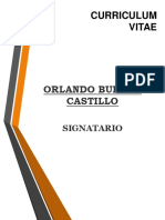 CV Orlando Castillo