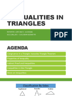 Inequality in Triangles Report