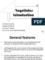 Flagellates: Al-Anbar University College of Medicine Dr. Huda. R. Sabbar B.SC., M. SC., Ph.d. Med - Microbiology