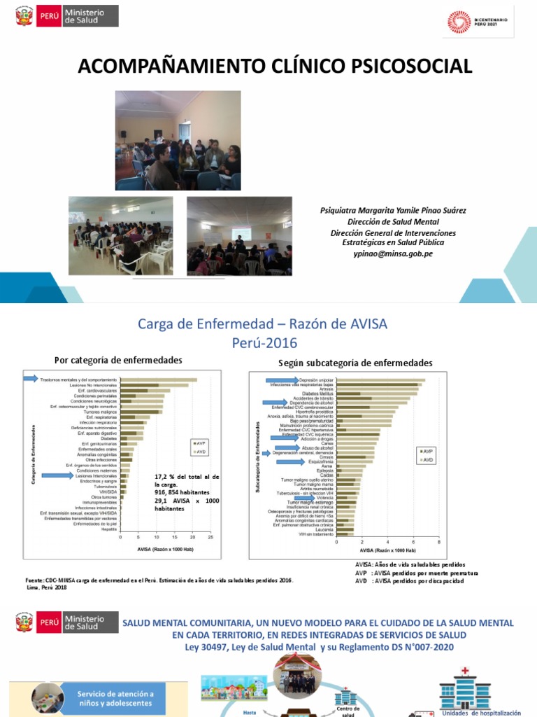 Acompañamiento Psicosocial y Ley 30497 | PDF | Salud mental | Trastorno ...