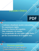 Tejido óseo: estructura, células y funciones