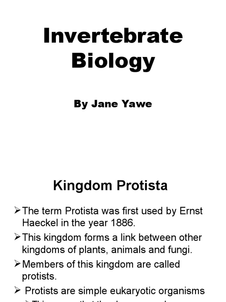 Overview of Kingdom Protista | PDF | Protozoa | Organisms