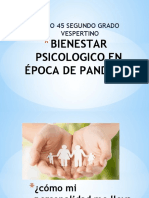 Bienestar Psicologico en Época de Pandemia