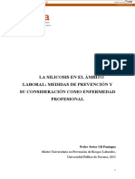 La Silicosis en El Ámbito Laboral: Medidas de Prevención Y Su Consideración Como Enfermedad Profesional