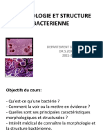 01- Morphologie et Structure bacterienne