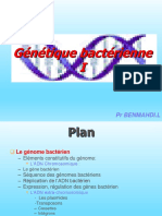 03 - Génétique Bactérienne