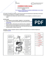 Guía Aplicación Sistema Digestivo Correccion