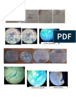 muestras de microbiologia